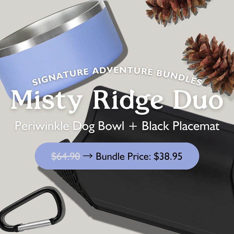 Misty Ridge Duo with periwinkle 64oz stainless steel dog bowl and black non-slip placemat