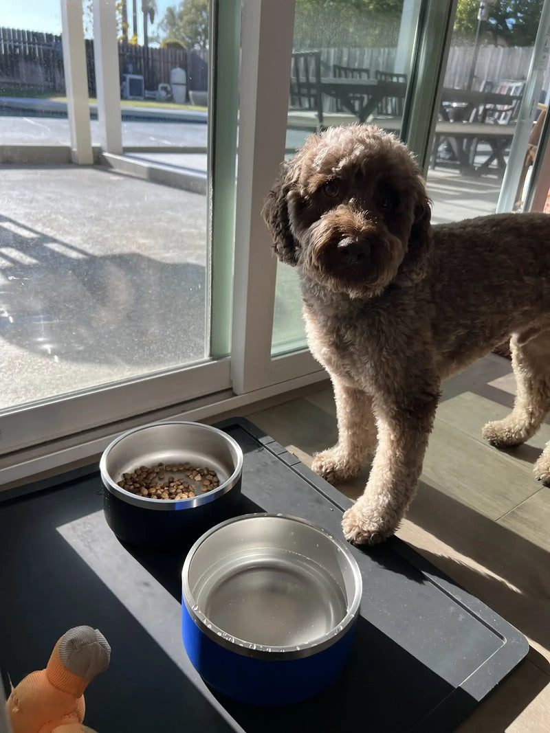 Fozzie