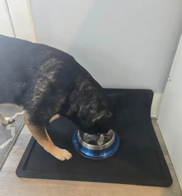 Roscoe