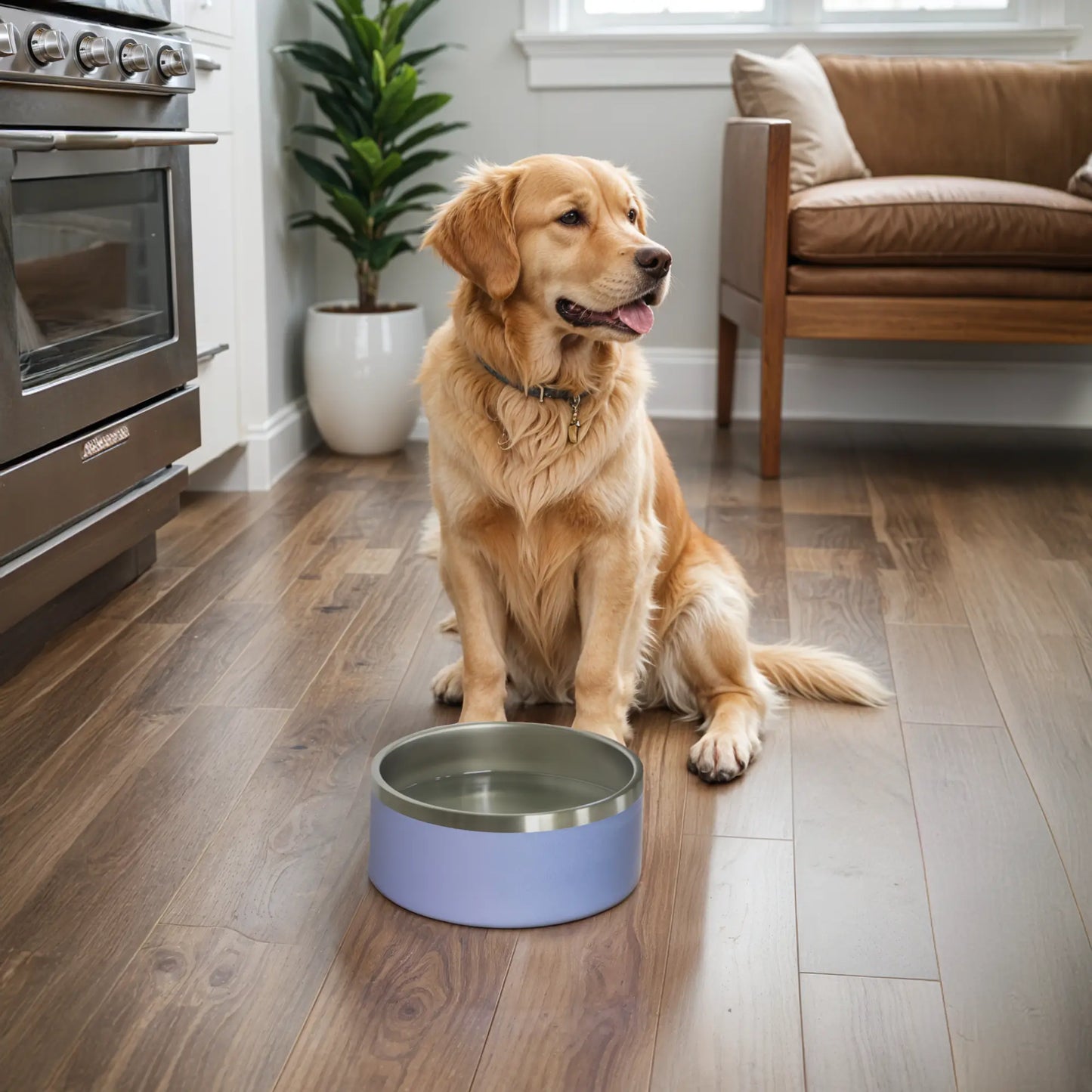 Stainless Steel Metal Dog Bowl 64oz - Periwinkle Purple